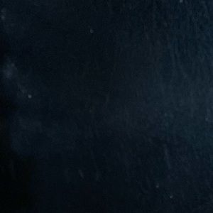 Meet your Posher, Colleen